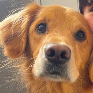 Meet your Posher, Maeghan